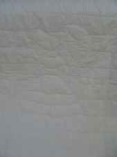 Enlarge photo 146