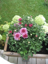 Enlarge photo 12