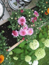 Enlarge photo 13