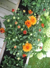 Enlarge photo 14