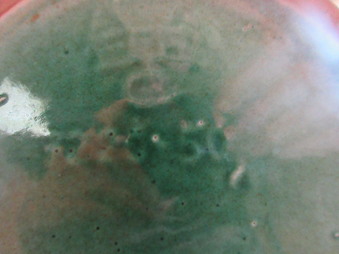 Enlarge photo 3