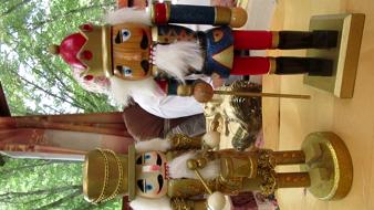 Enlarge MPEG4 243