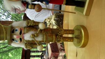 Enlarge MPEG4 180