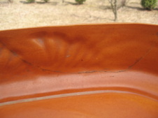 Enlarge photo 57