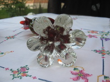 Enlarge photo 214