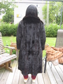 Enlarge photo 134