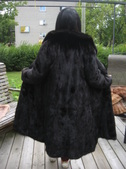 Enlarge photo 137