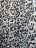 Enlarge photo 78