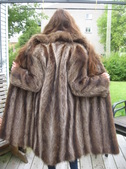 Enlarge photo 102