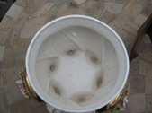 Enlarge photo 86