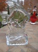 Enlarge photo 78