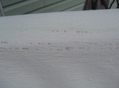 Enlarge photo 42