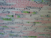Enlarge photo 71