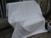 Enlarge photo 126