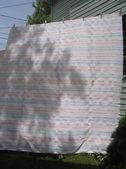 Enlarge photo 79