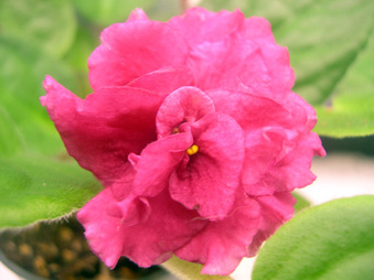 Enlarge photo 22