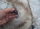 Enlarge photo 114