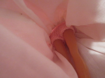 Enlarge photo 209