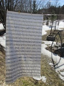 Enlarge photo 155