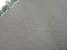 Enlarge photo 251