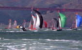 Enlarge photo 24