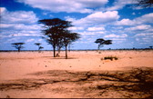 Enlarge photo 49