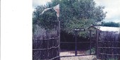 Enlarge photo 51