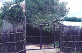 Enlarge photo 52