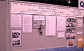 Enlarge photo 125