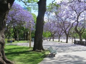 Enlarge photo 27