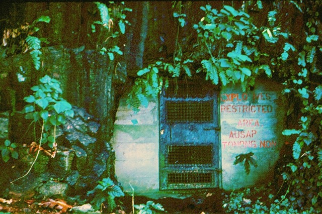 Return to Album