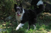 Enlarge photo 10