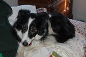 Enlarge photo 15