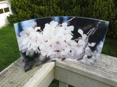 Enlarge photo 13