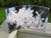 Enlarge photo 12
