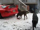 Enlarge photo 15