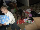 Enlarge photo 16