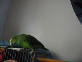 Enlarge WMV 13