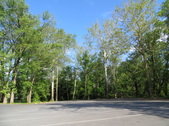Enlarge photo 43