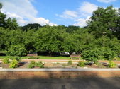 Enlarge photo 38