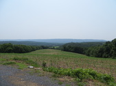Enlarge photo 61