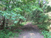 Enlarge photo 62