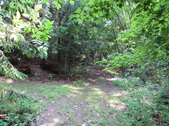 Enlarge photo 63