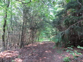 Enlarge photo 59