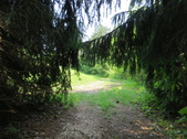Enlarge photo 60