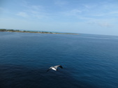 Enlarge photo 99
