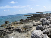 Enlarge photo 109