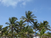 Enlarge photo 111