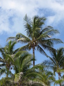 Enlarge photo 112