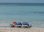 Enlarge photo 113